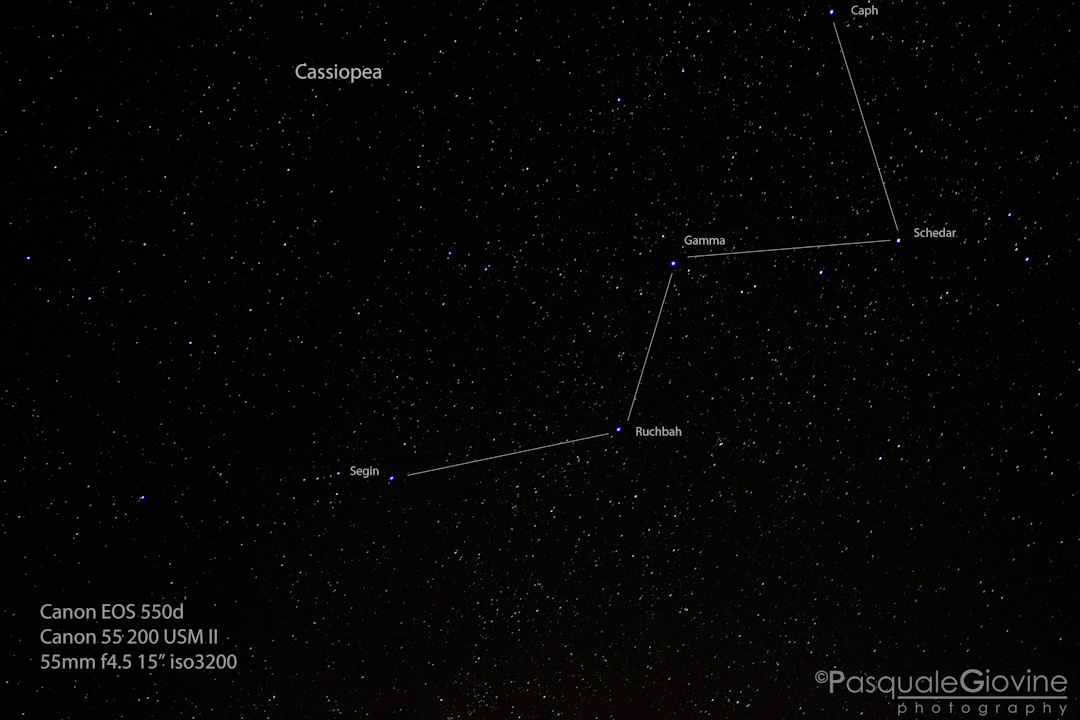 Cassiopea