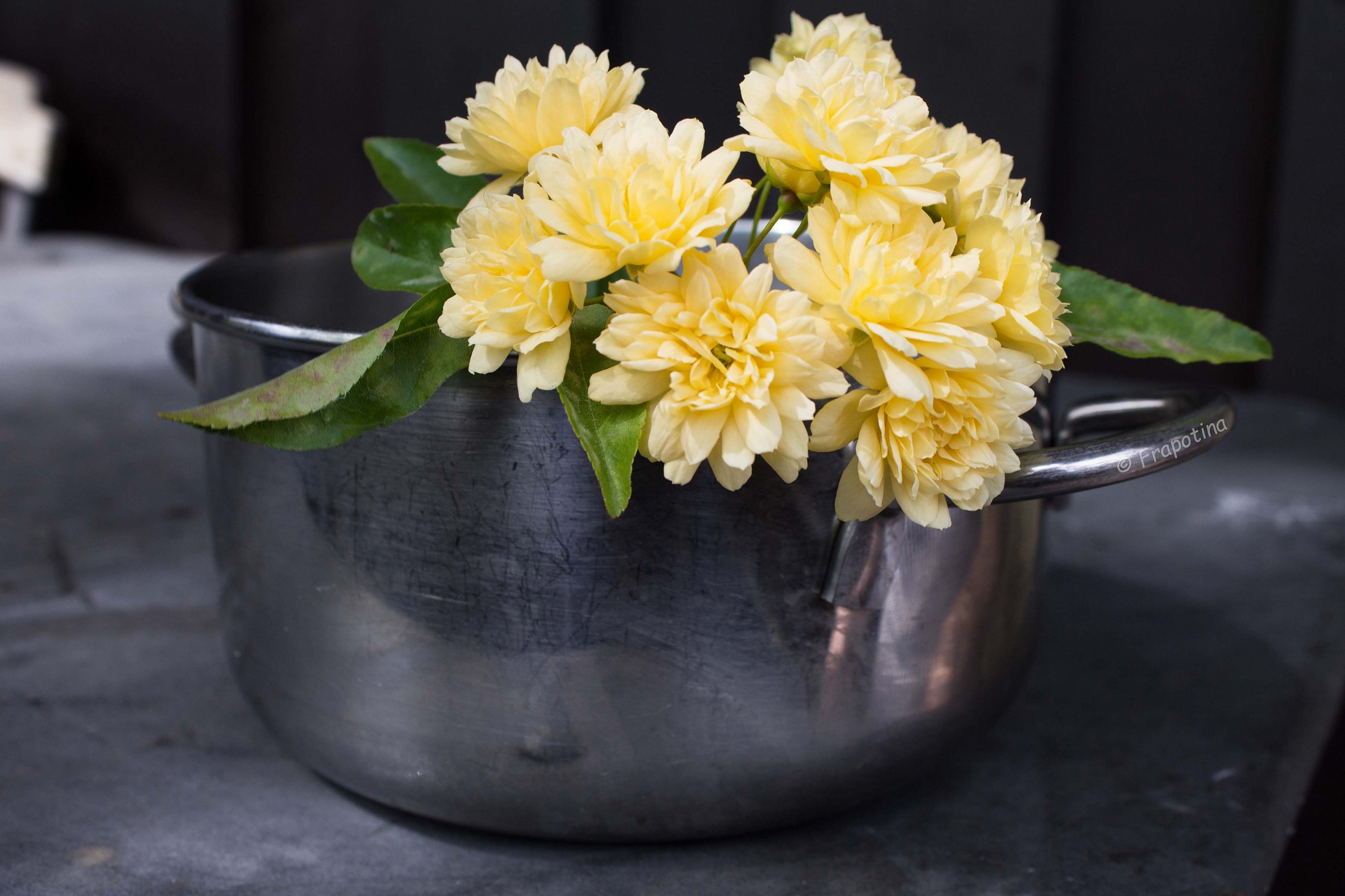 Un vaso improvvisato