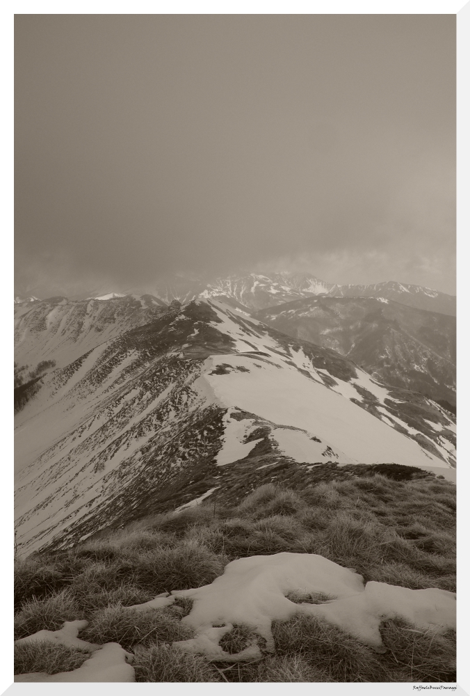 Prima che la nebbia avvolga ogni traccia di sentiero