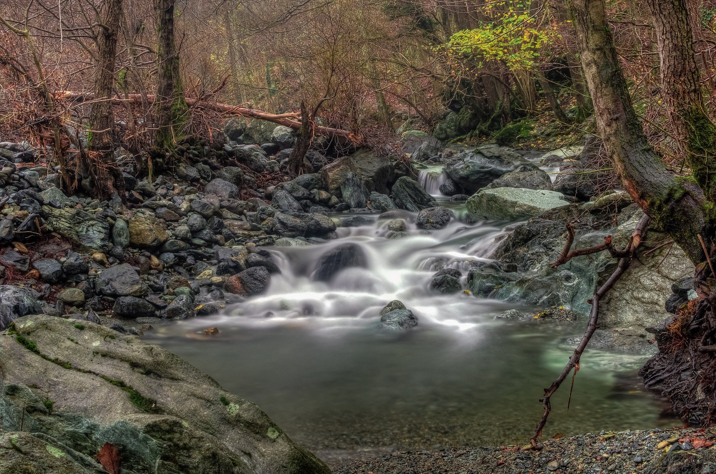 torrent gargassa- Rossiglione- Ge