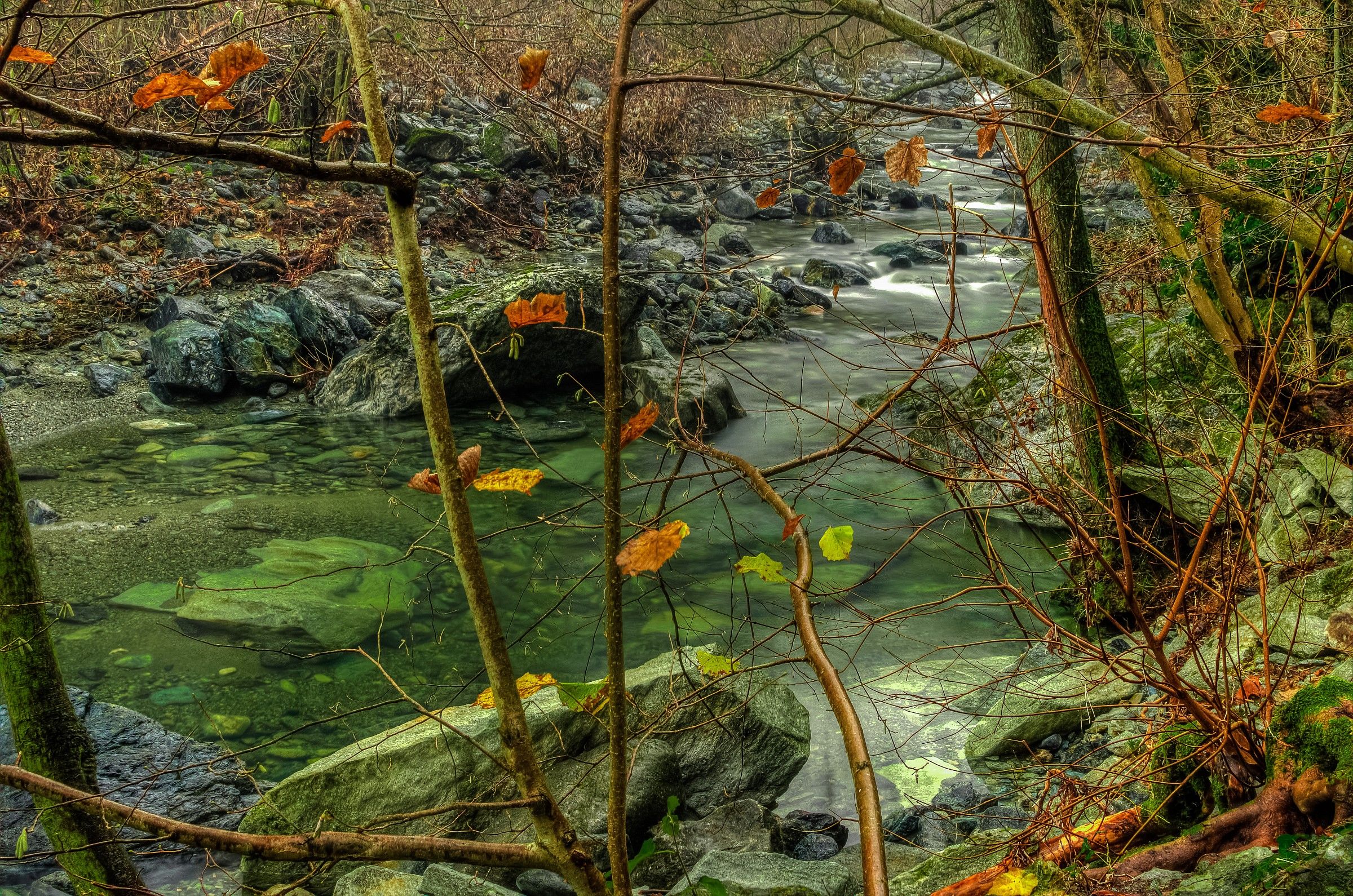 Gargassa stream, a November morning