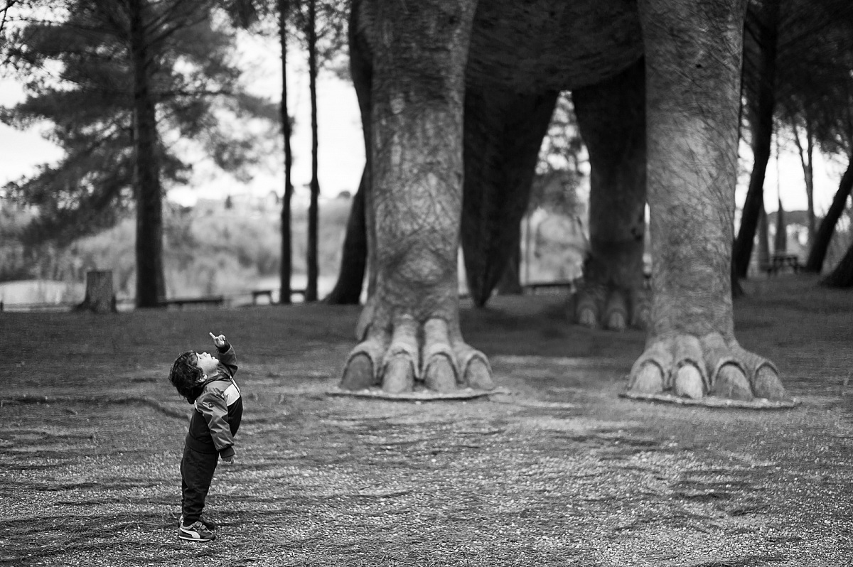 Edoardo e il Dinosauro;Parco dei Dinosauri