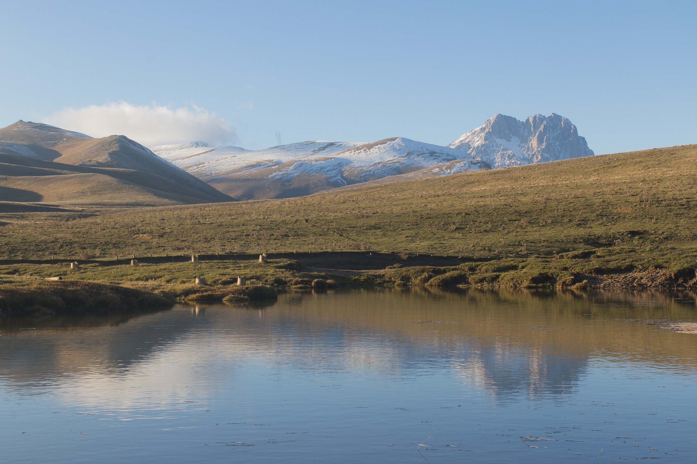 reflections on Racollo