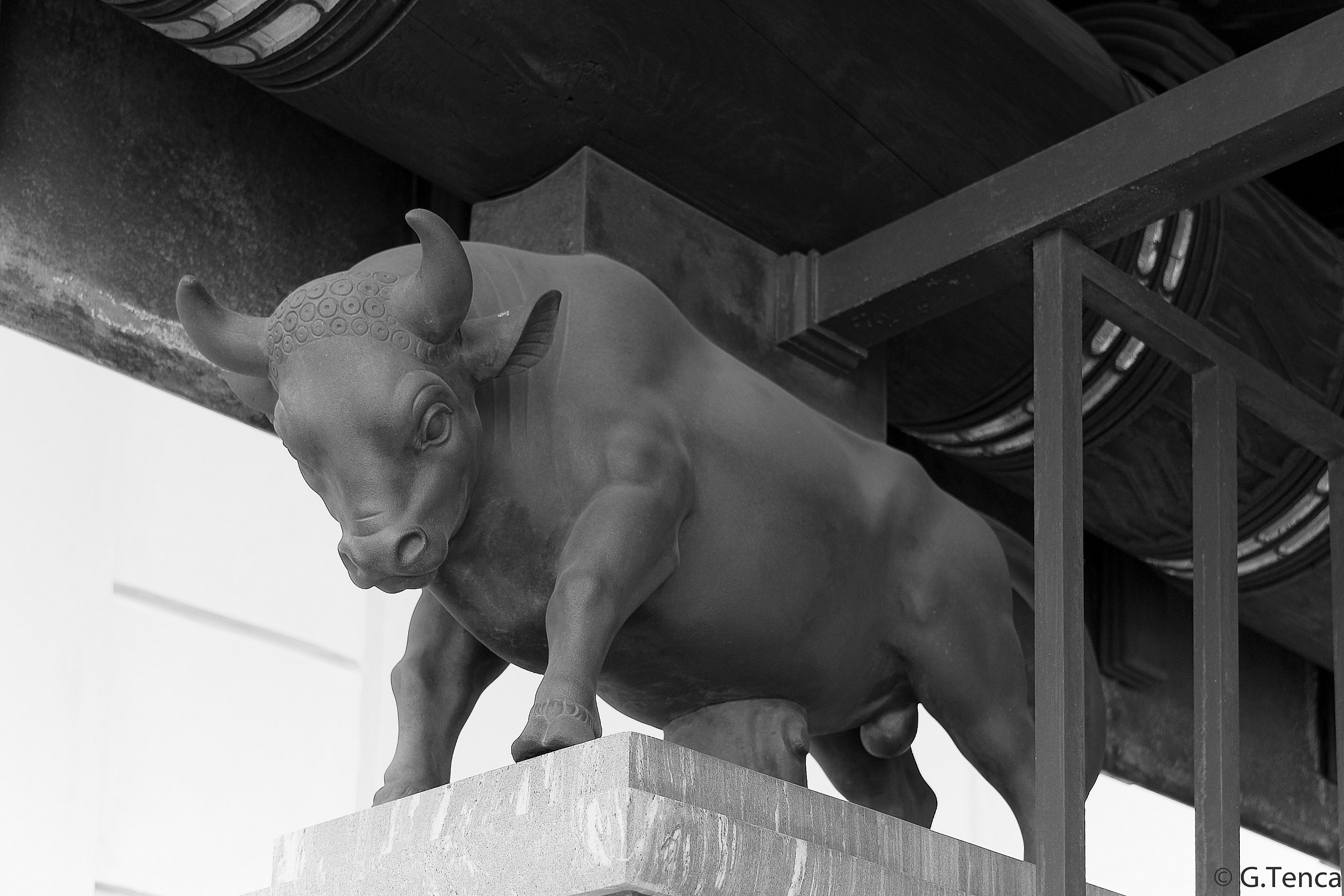 Everything on my shoulders ...