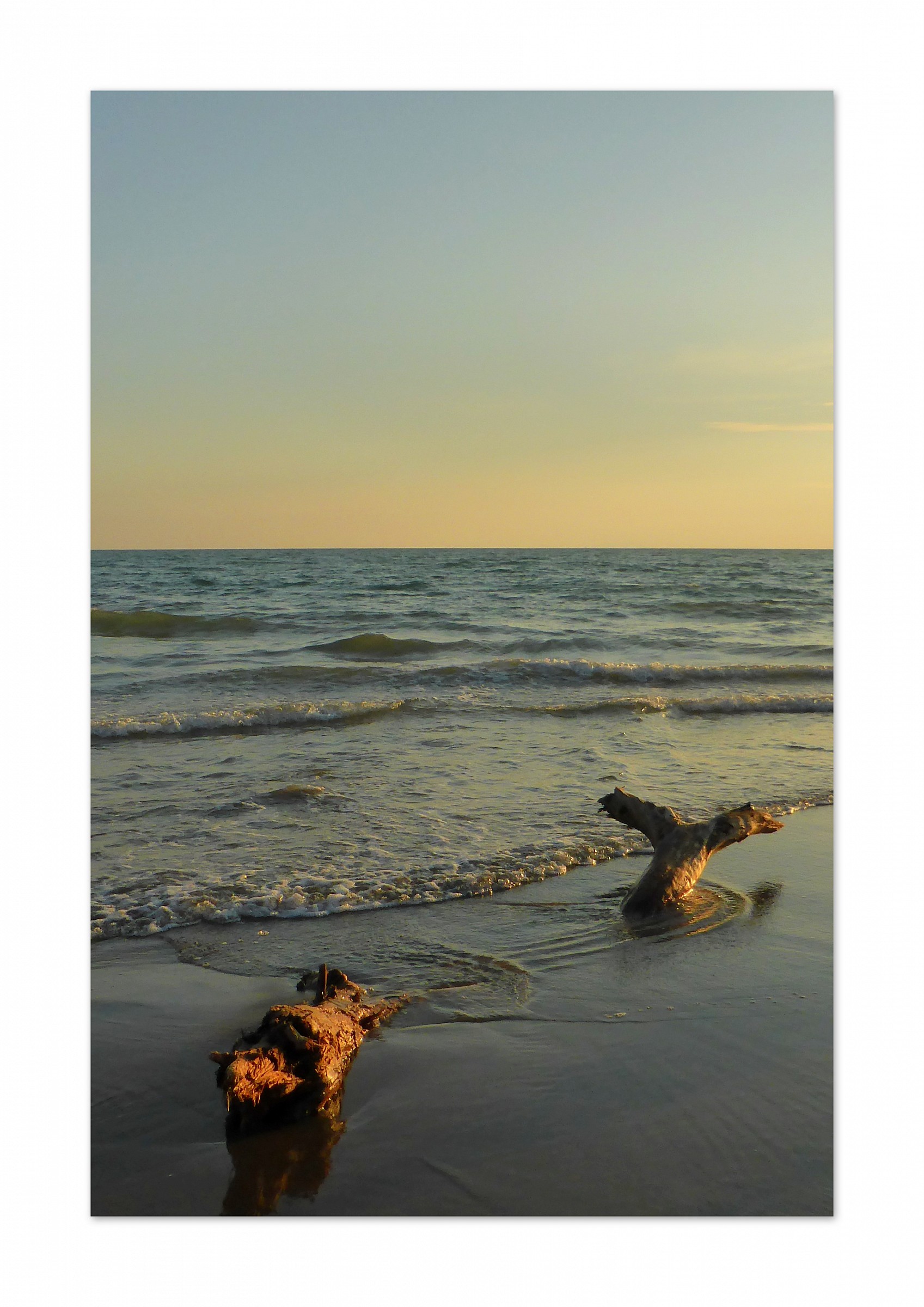 like a fish out of 'water