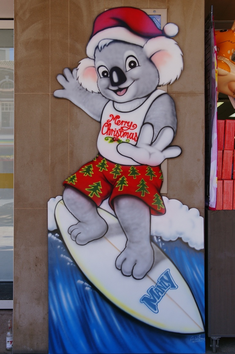 the koala surfer