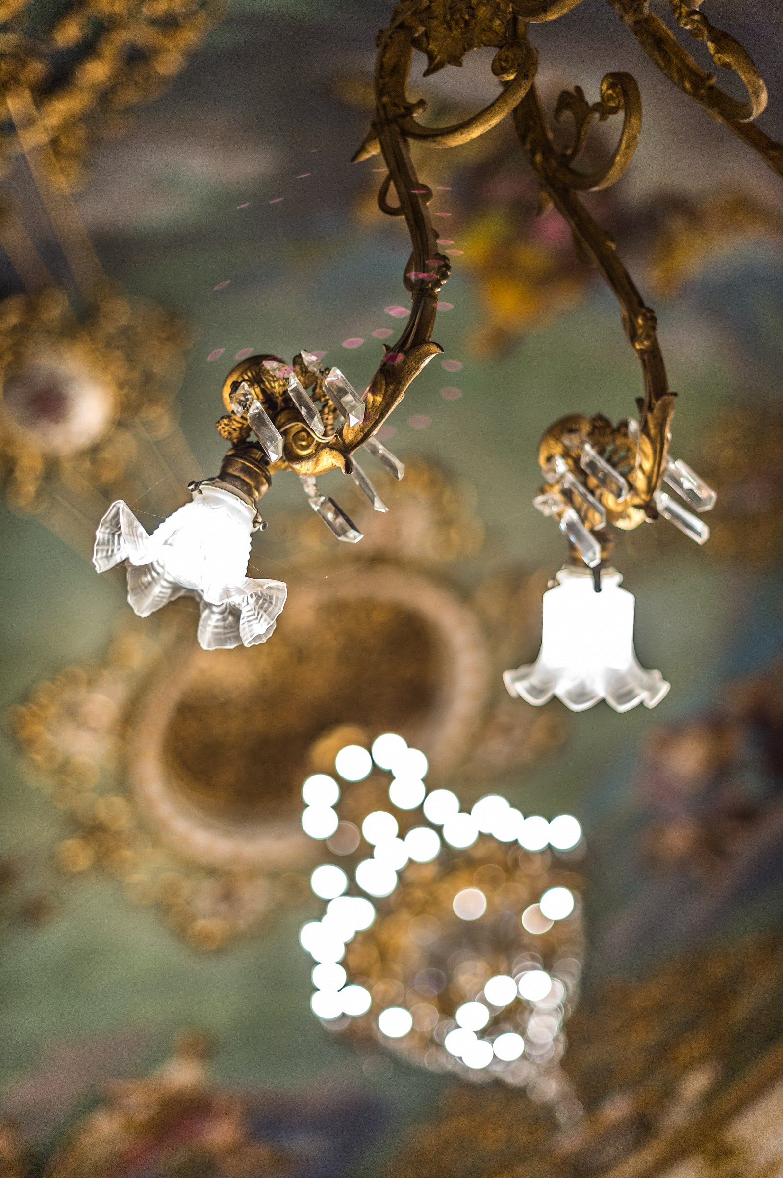 particolare delle luci