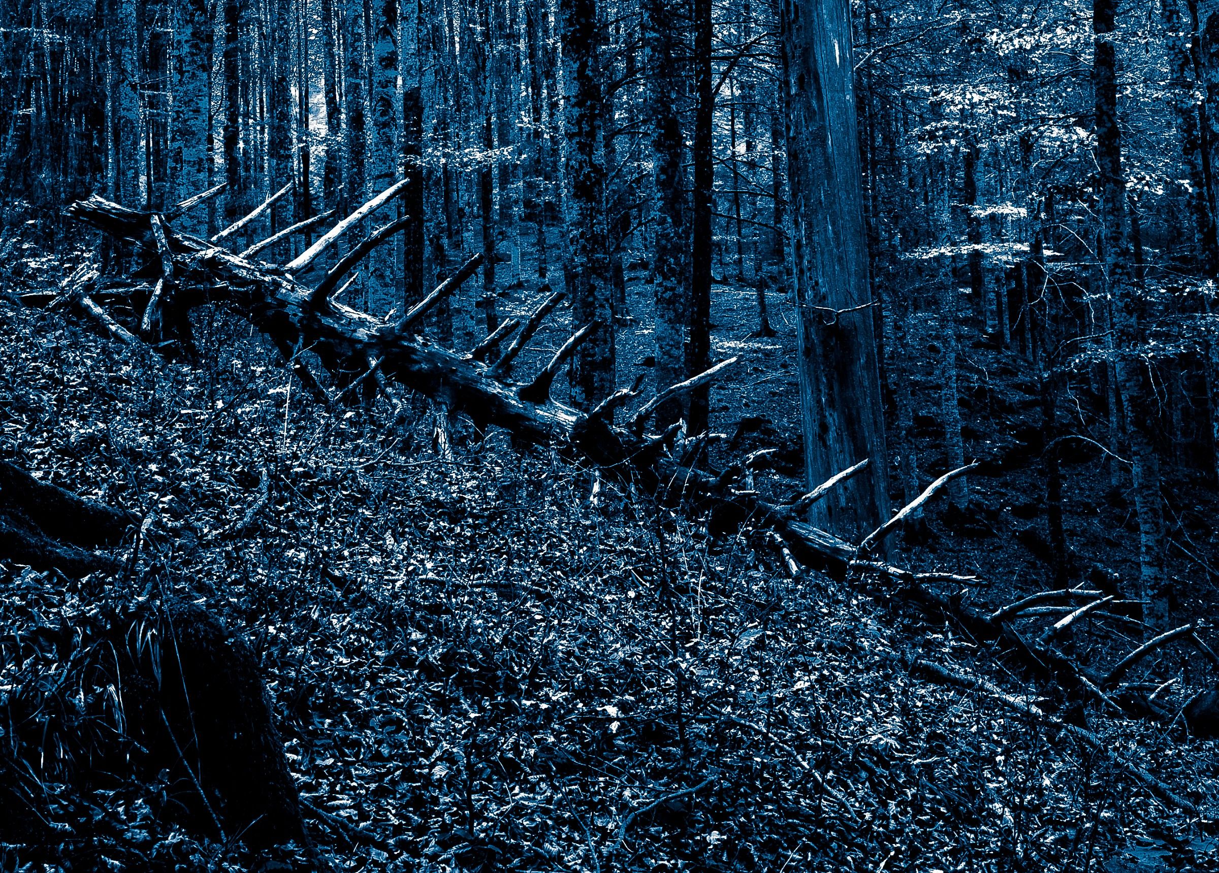 A nightmare to remember ...