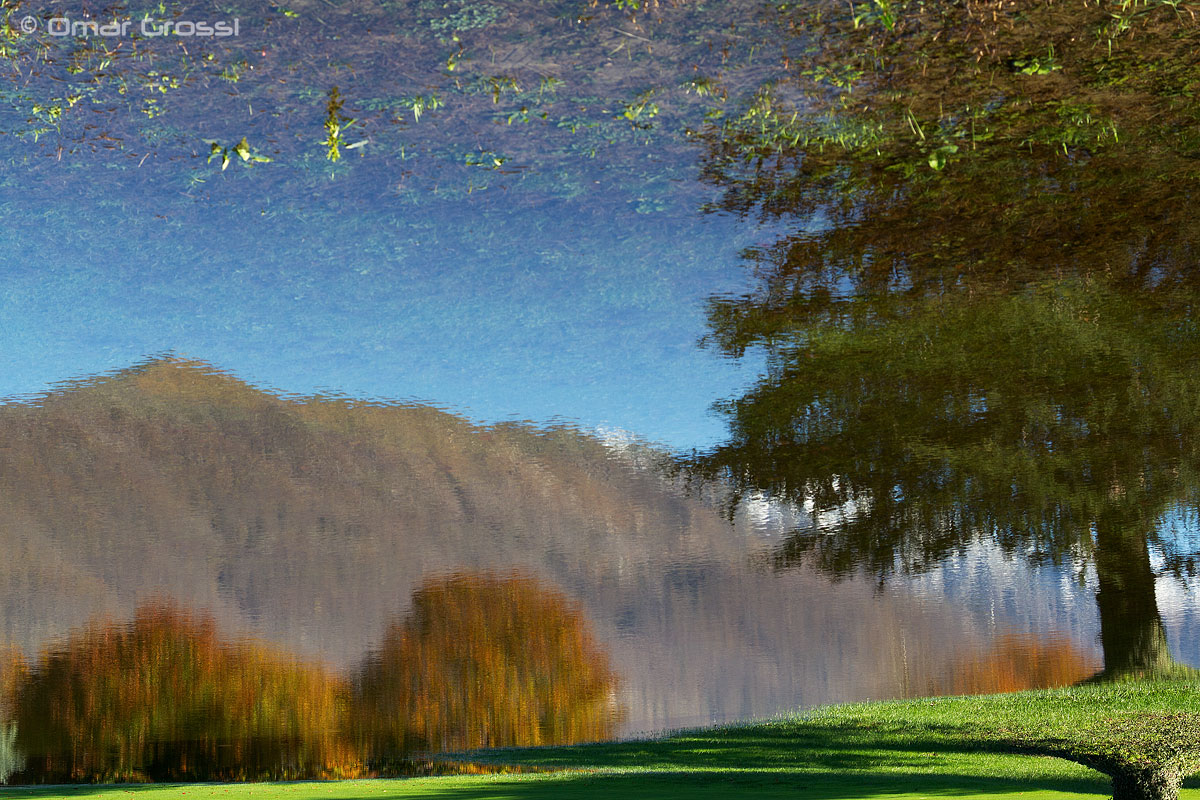 riflesso postalluvionale