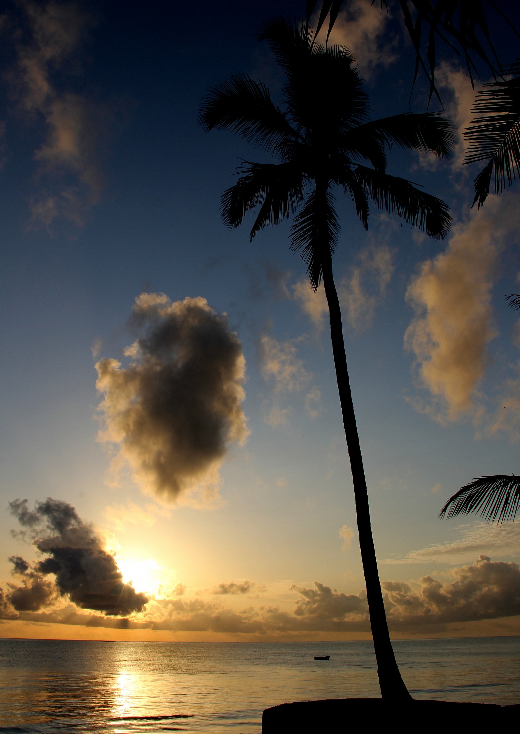 Tutto inizia a prendere forma