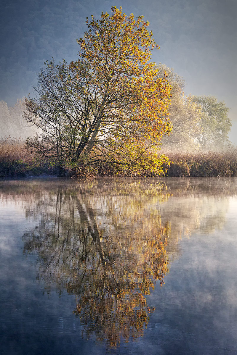 L'autunno allo specchio