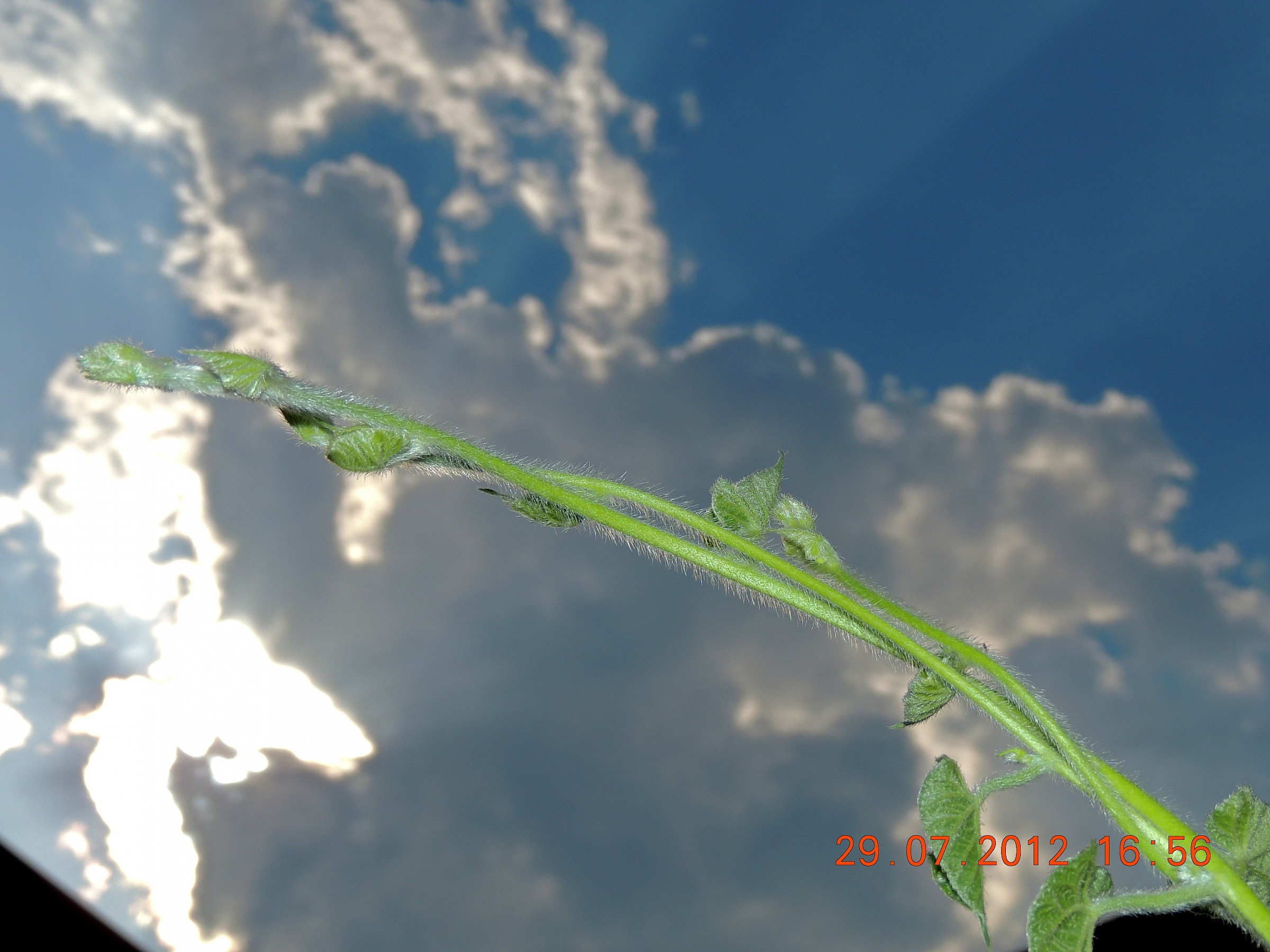 waiting for the rain