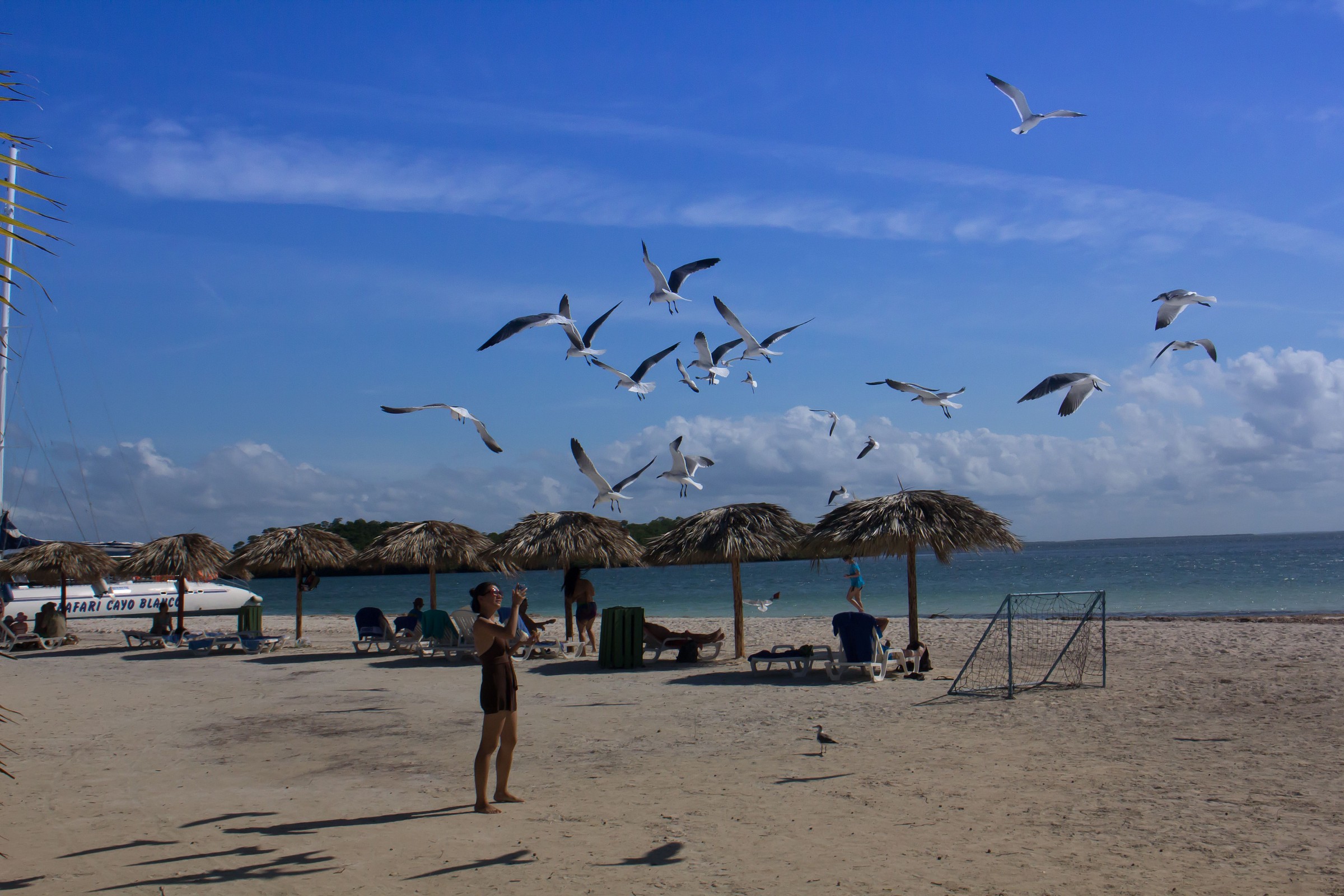 And 'feeding time !!!