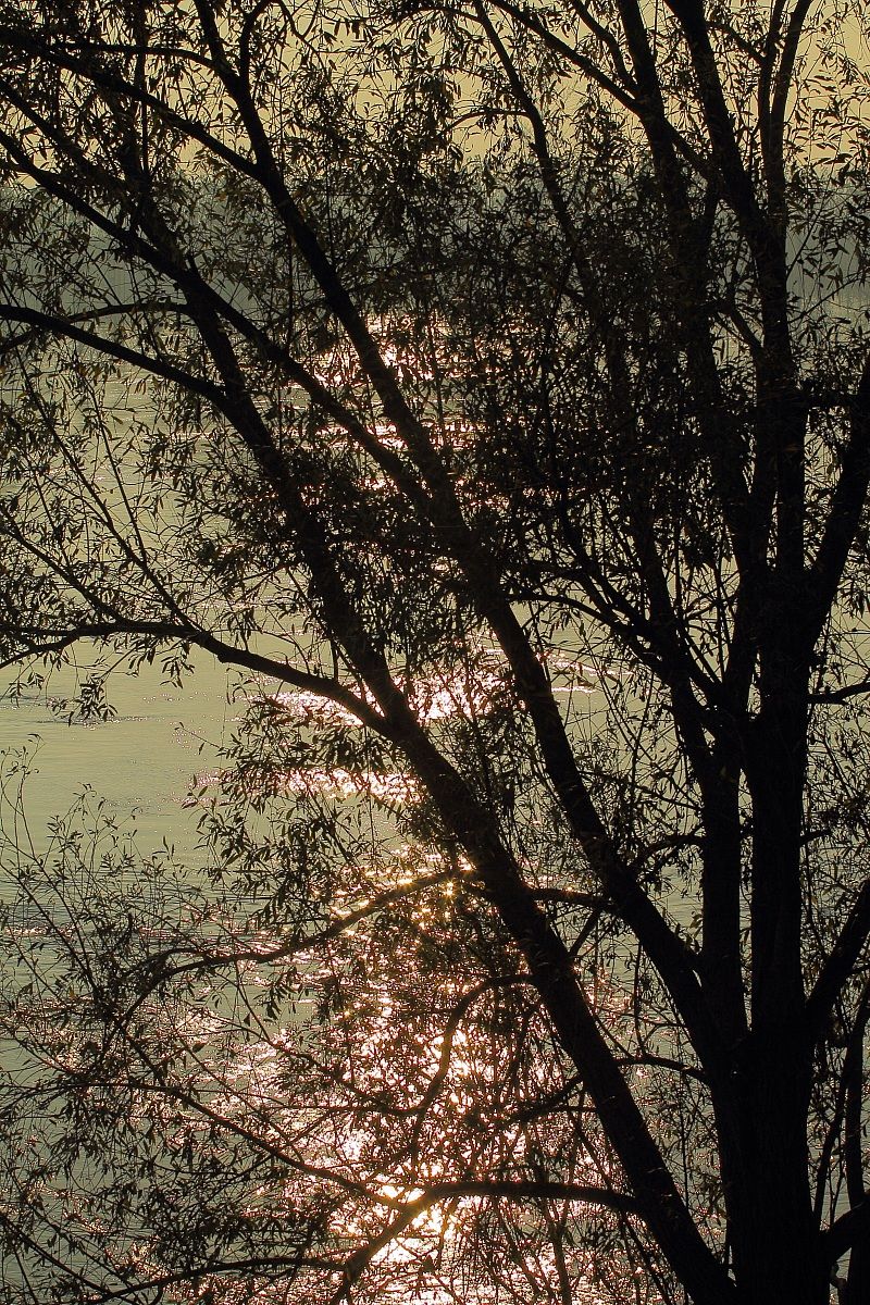 Riflessi sulla piena del Po