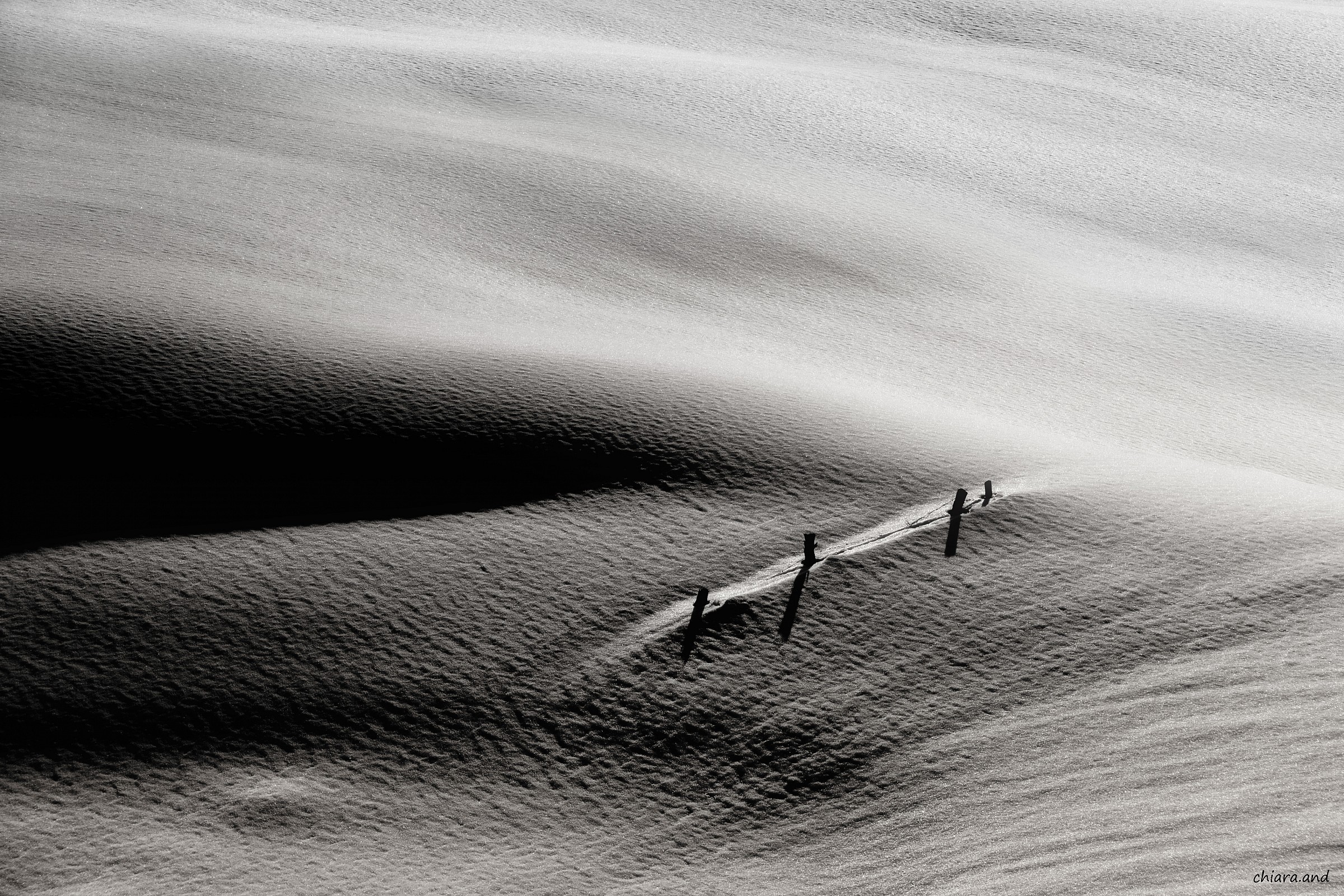 Emozioni a pelle....