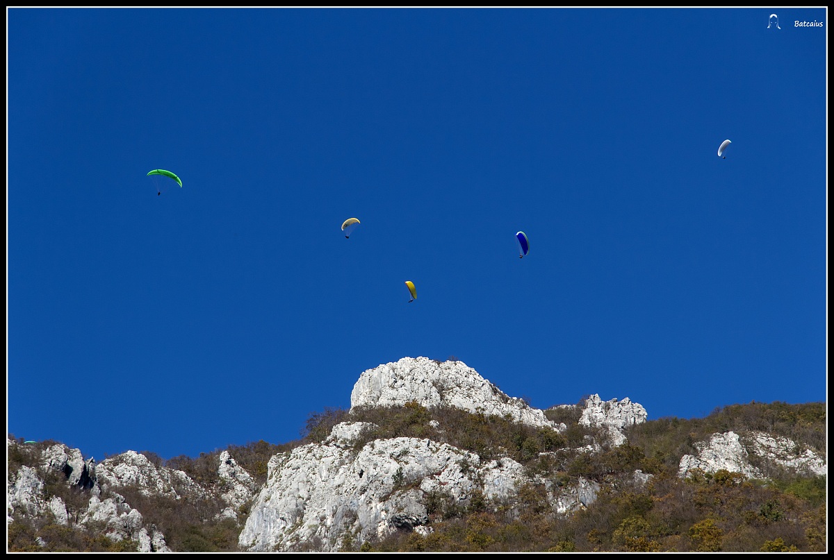 Ali against the blue