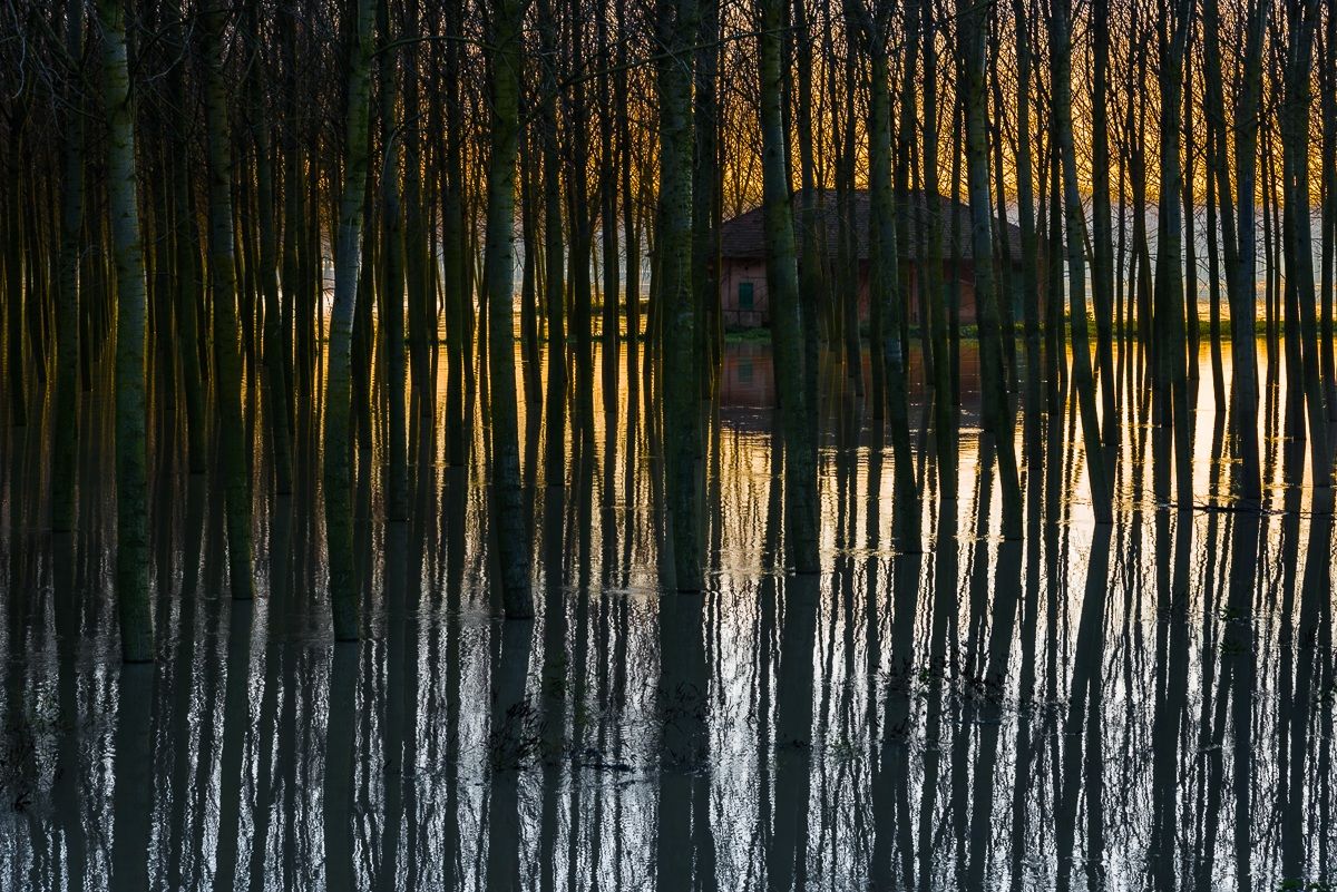 The Po preserves what man abandons