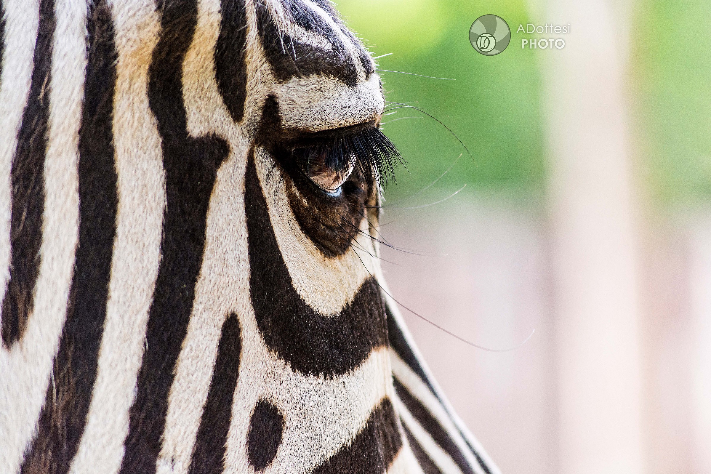 Black and white, where do you look?