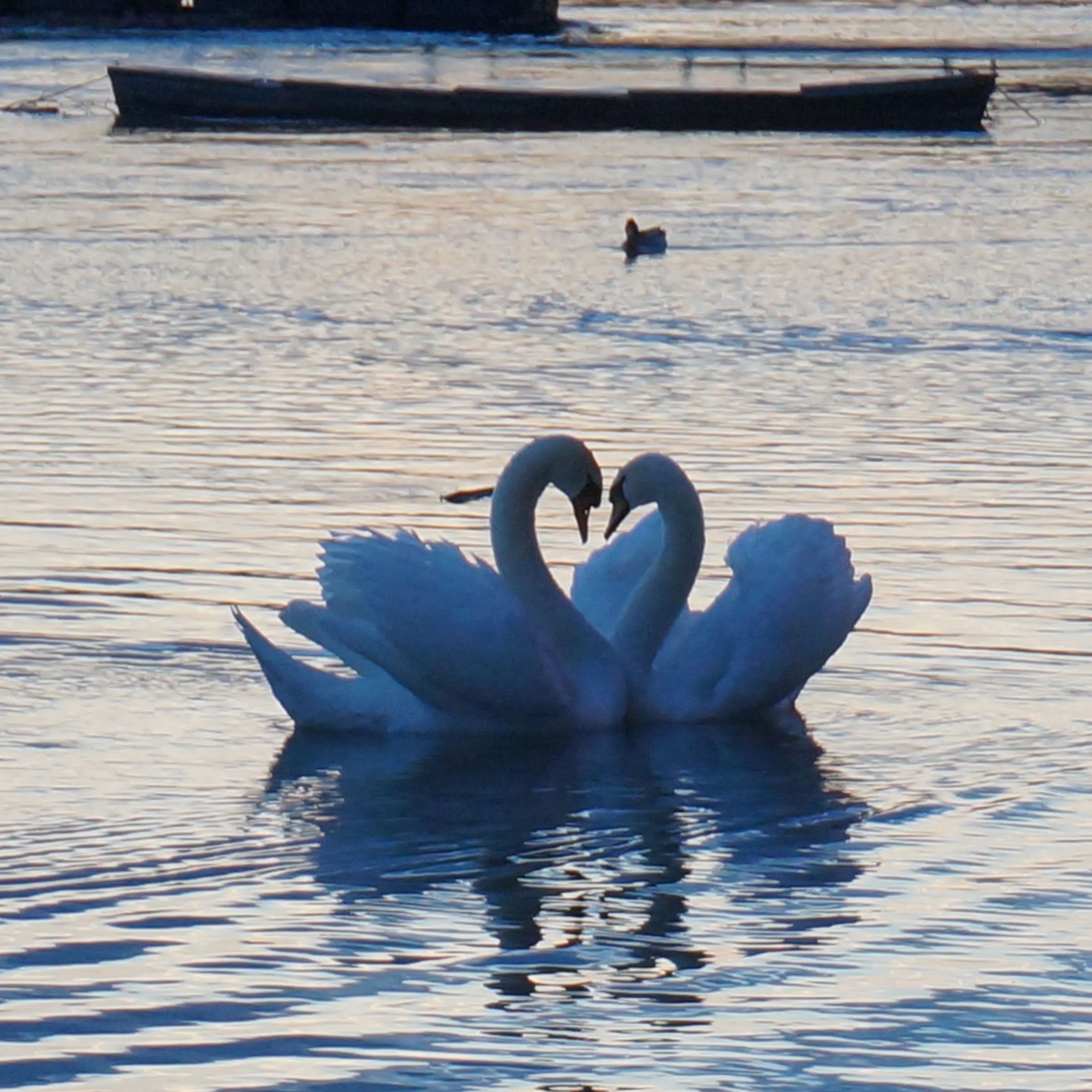 Visione sconsigliata ai diabetici
