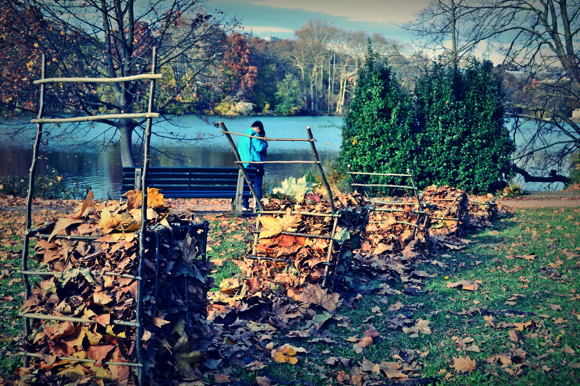 Lyon natura in movimento