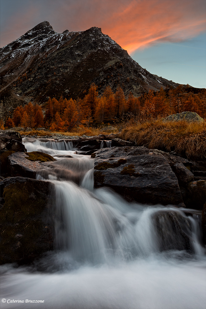 Before the winter comes ..