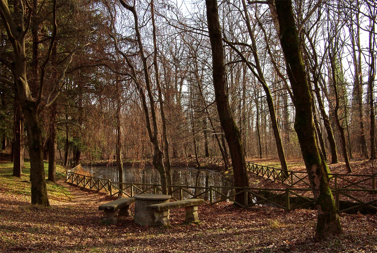 Autunno al Parco di Monza