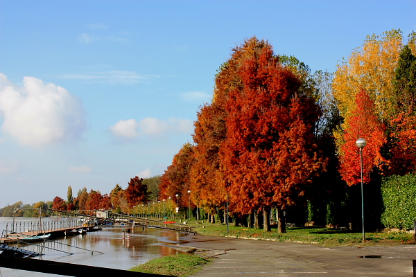 the flooding of the Po