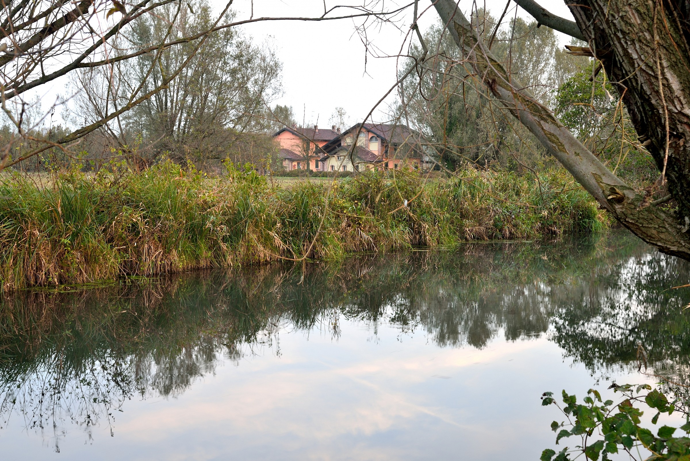 Barcelletta the Mill