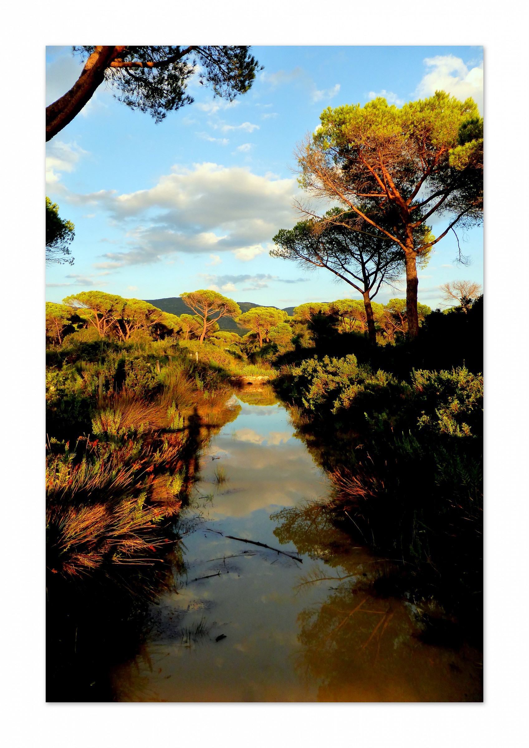 Park 'Uccellina (gr)