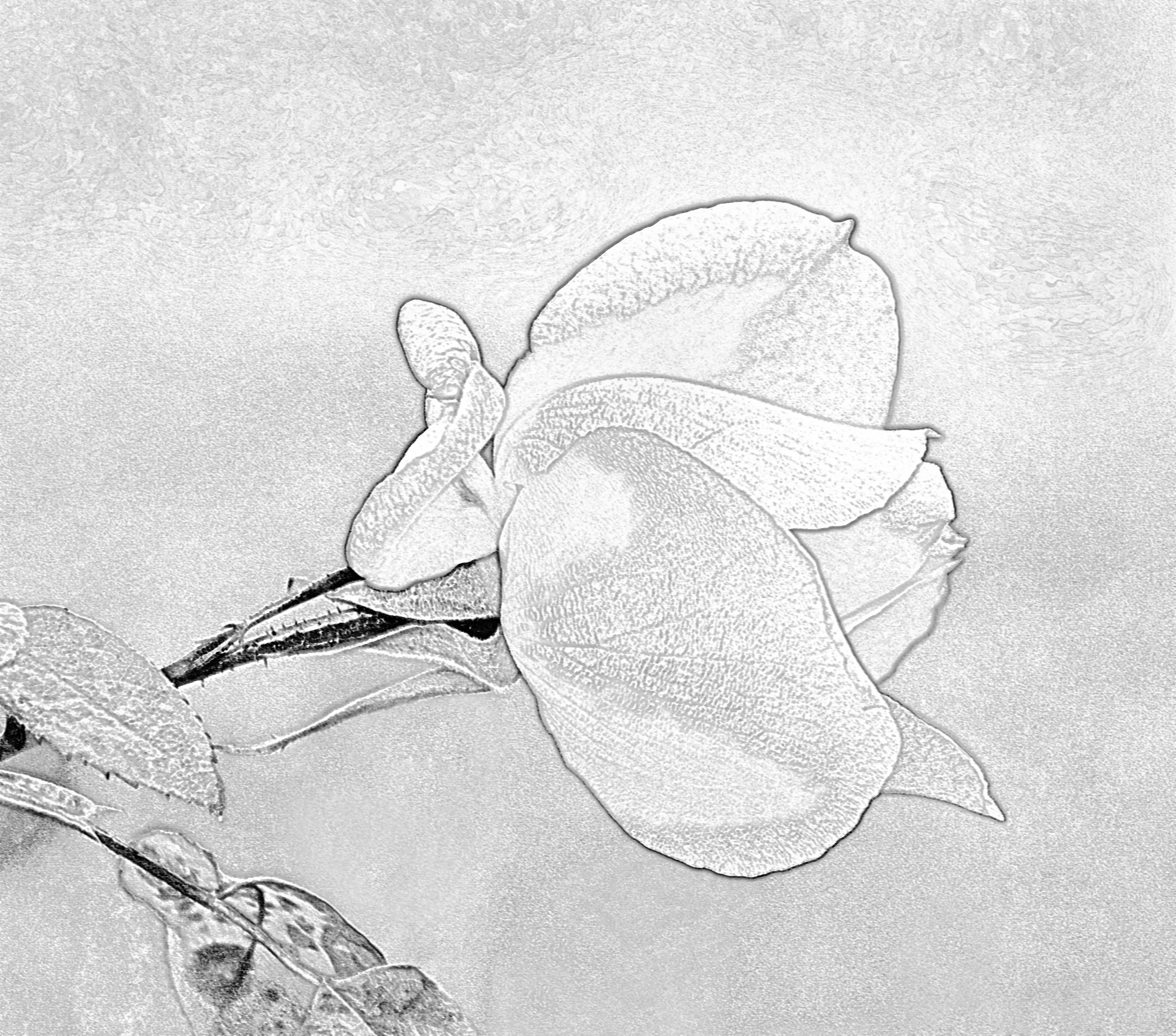 Effetto artistico schizzo