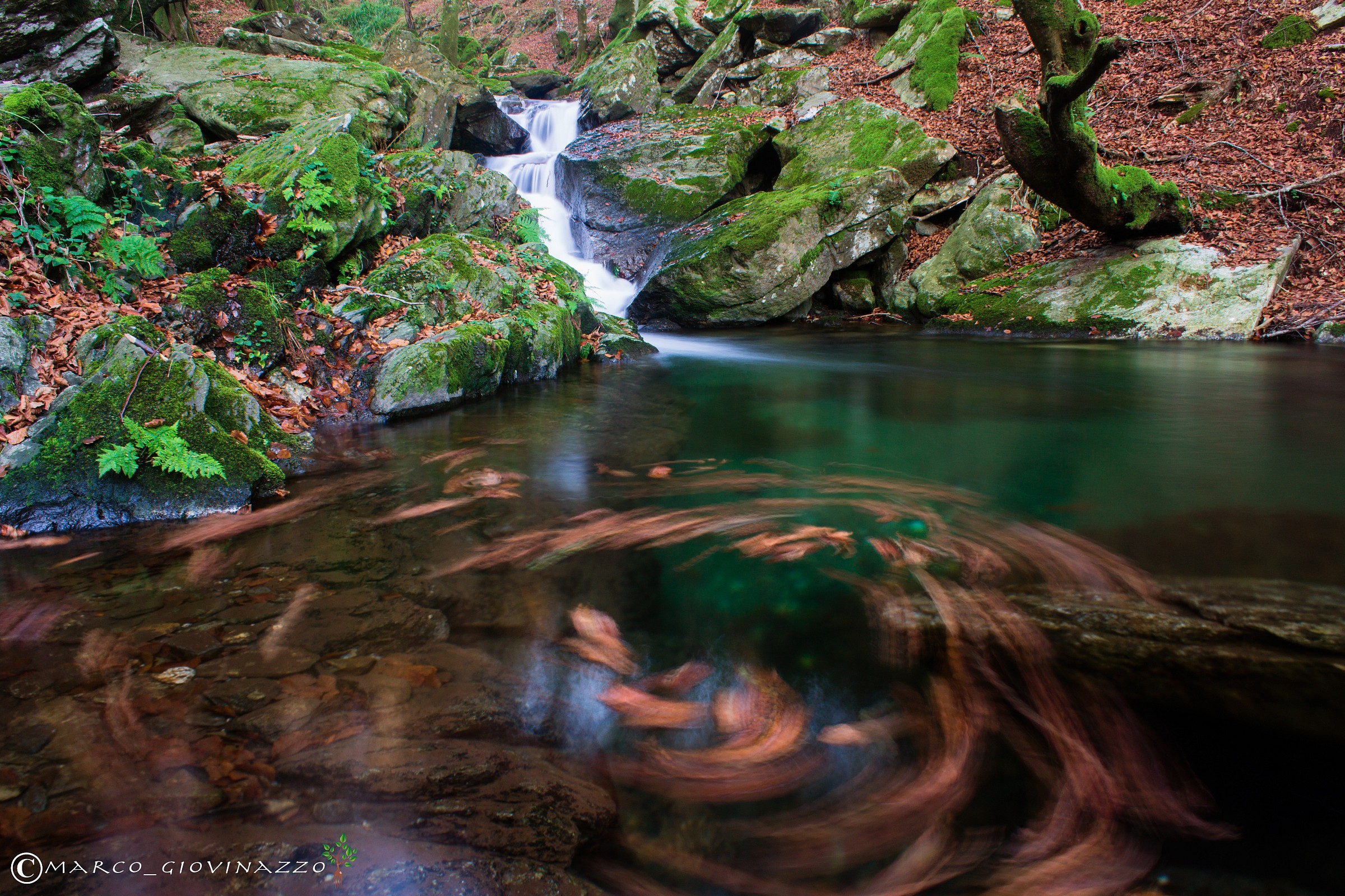 vortice di foglie autunnali