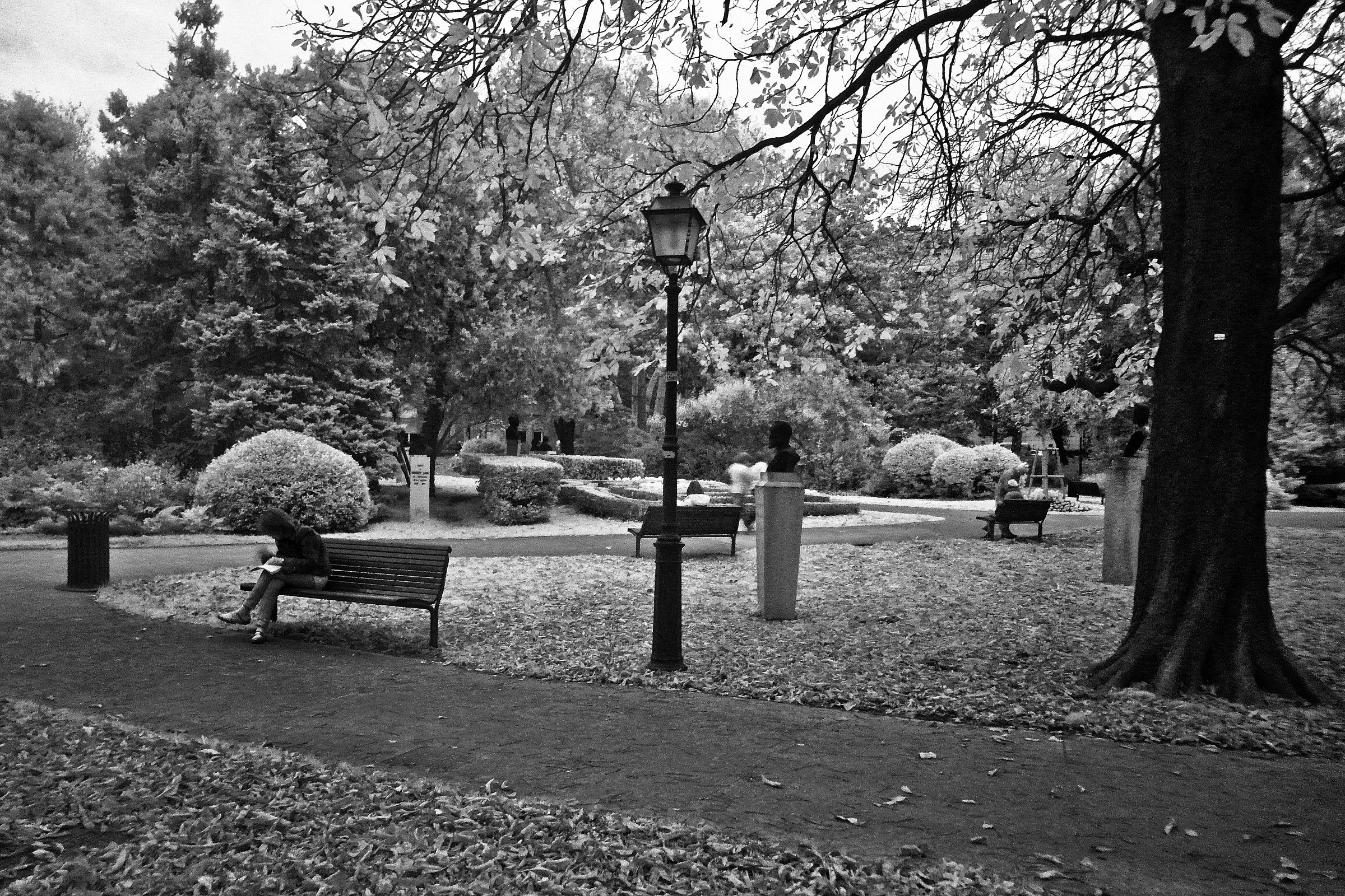 giardino pubblico in infrarosso 720nm