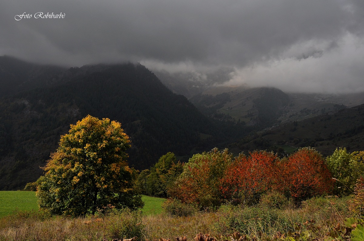 L'autunno si accende...