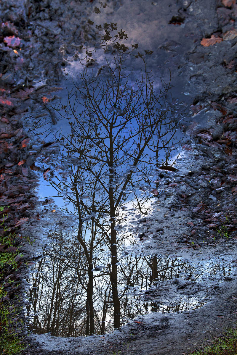 Tutto in una pozza...