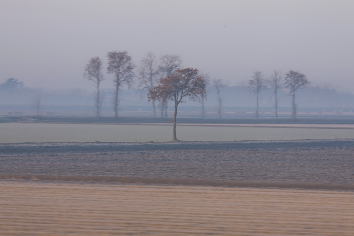 Sulla strada per Alba