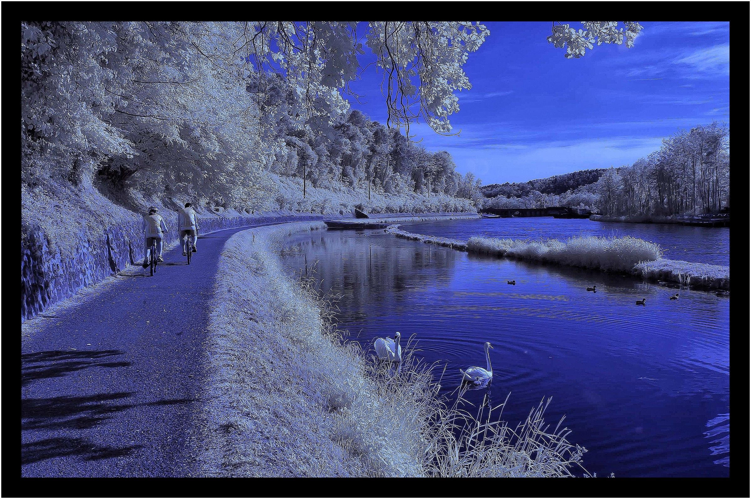 Pedaling In A Fairy Tale ...