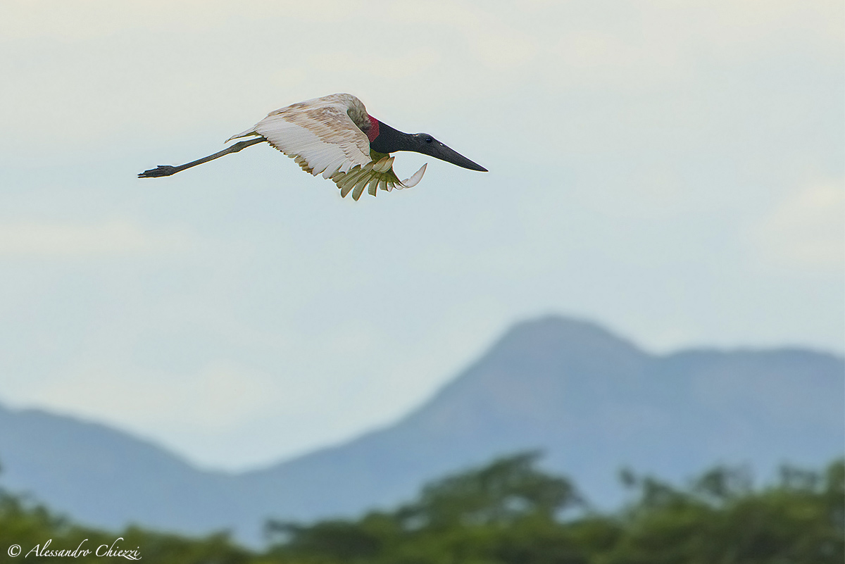 Volo sul Costa Rica