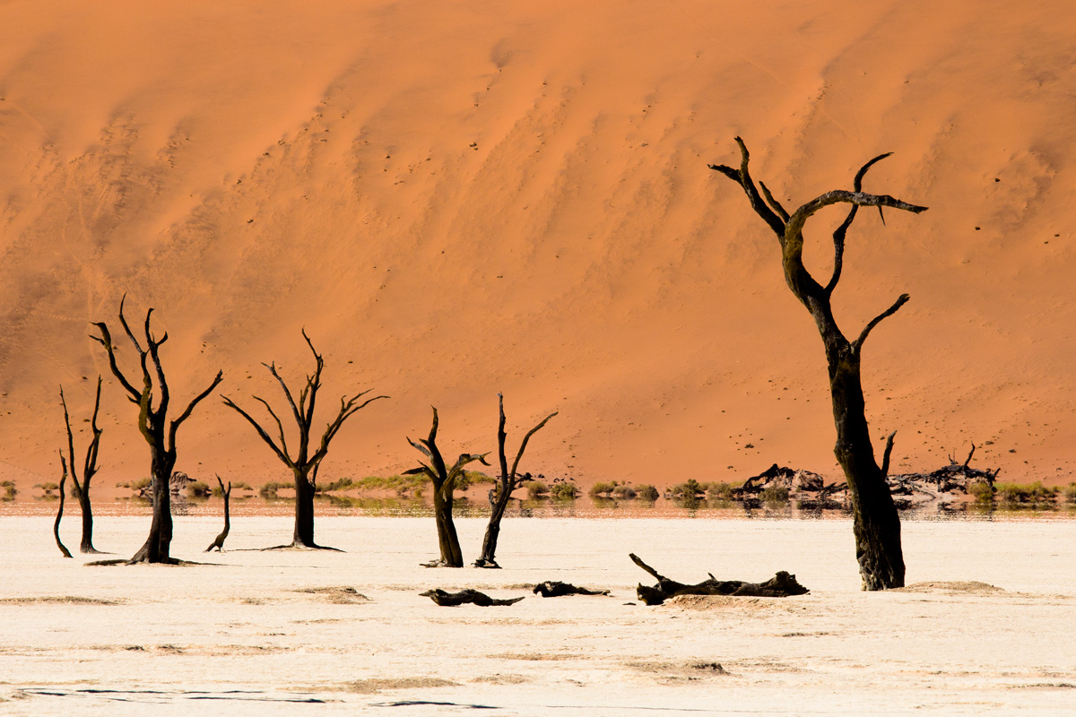 Dead vlei, 1