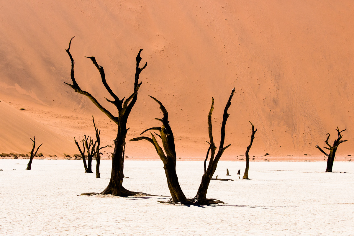 Dead vlei, 7