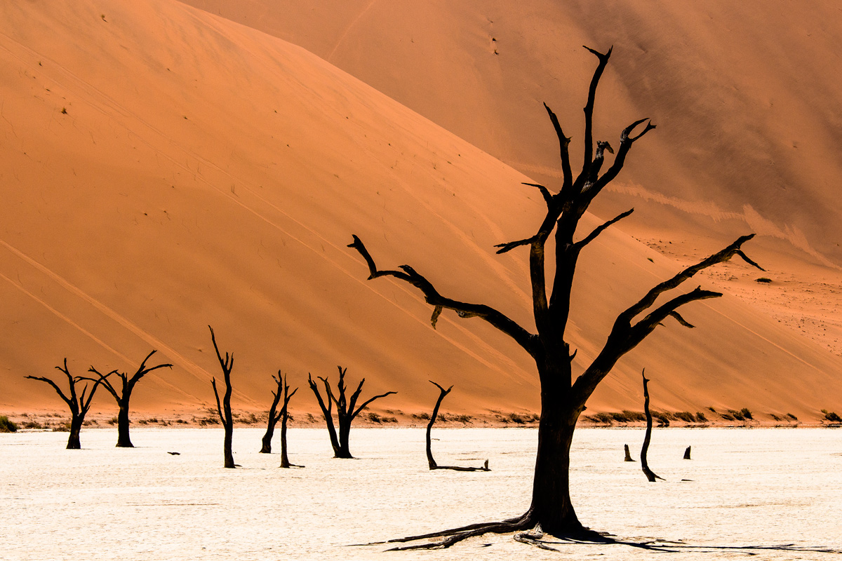 Dead vlei, 9