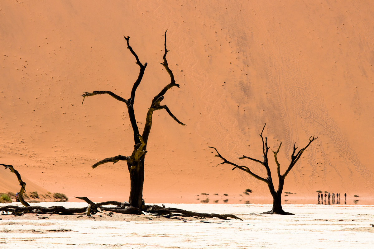Dead vlei, 15