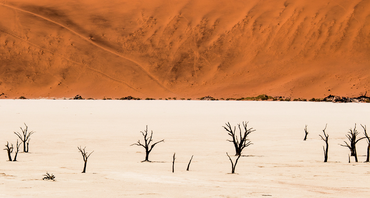 Dead Vlei, 17