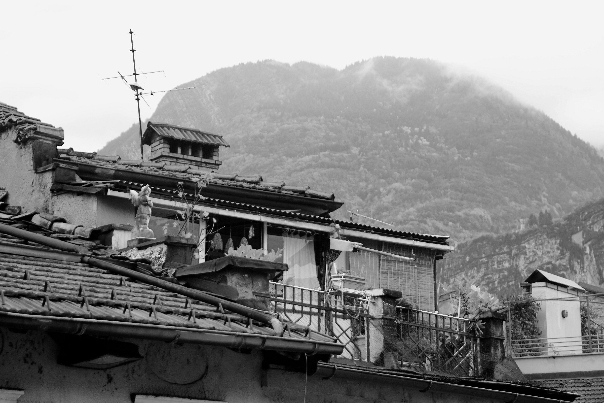 Sui tetti di Trento .....