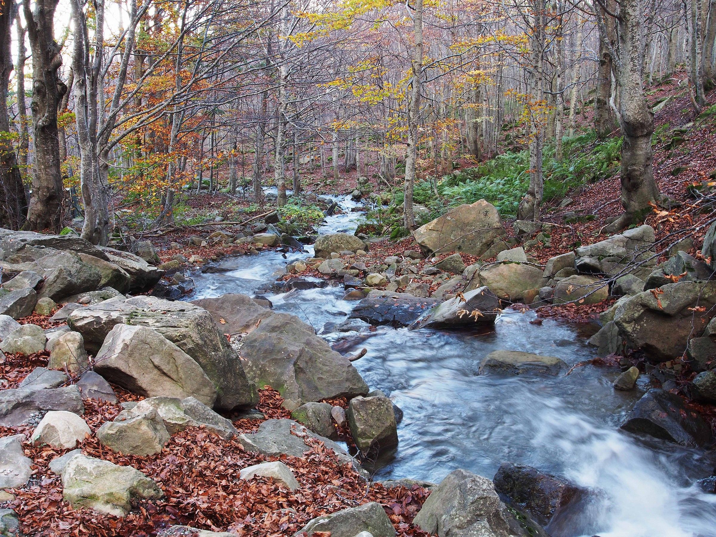 Autumn in the Apennines