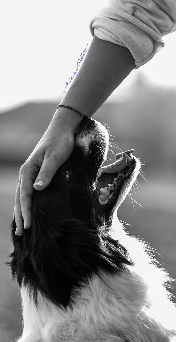 Faithful friendships