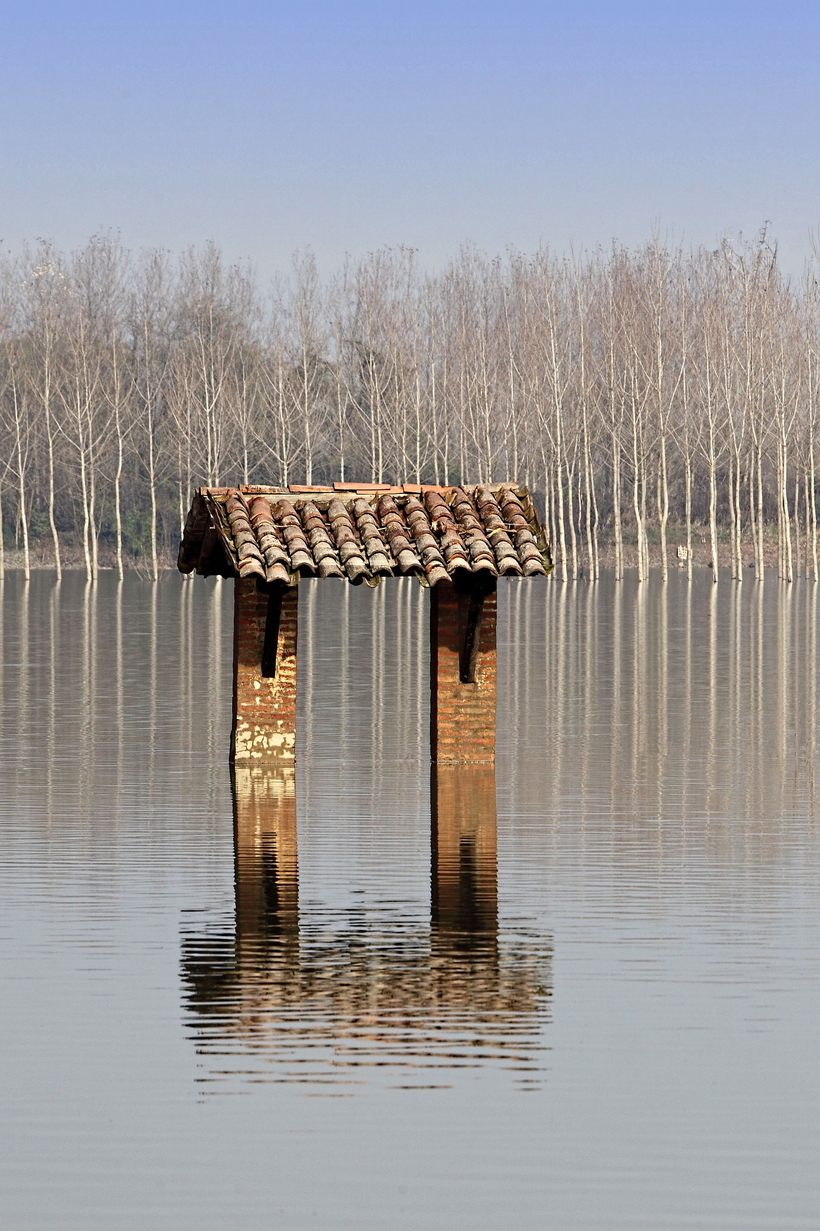 Floodplain Panaro (modified)