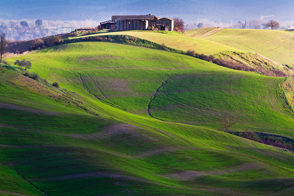 Le crete senesi