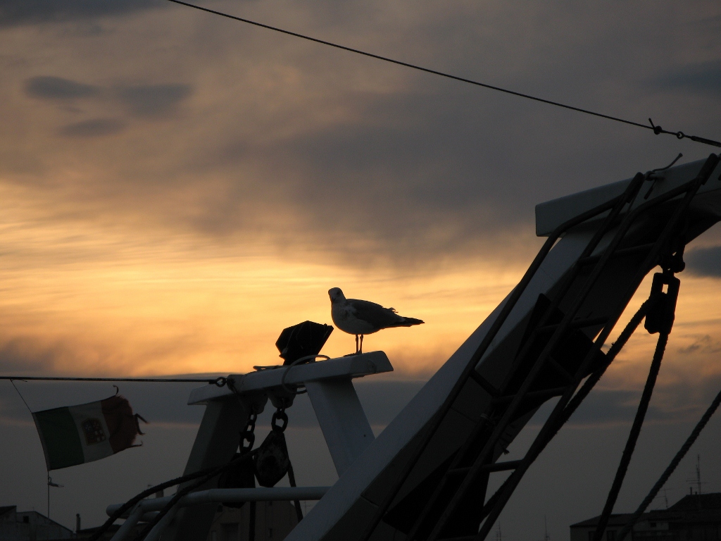 solo sul peschereccio