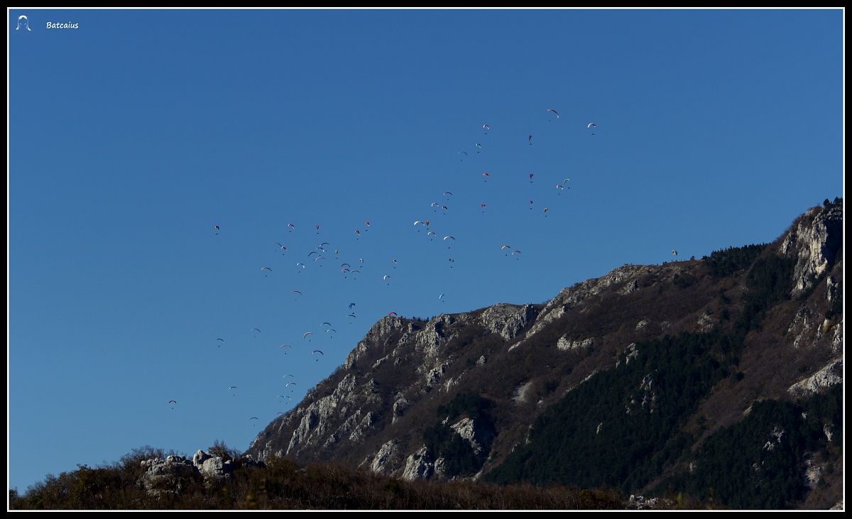 Last autumn swarms