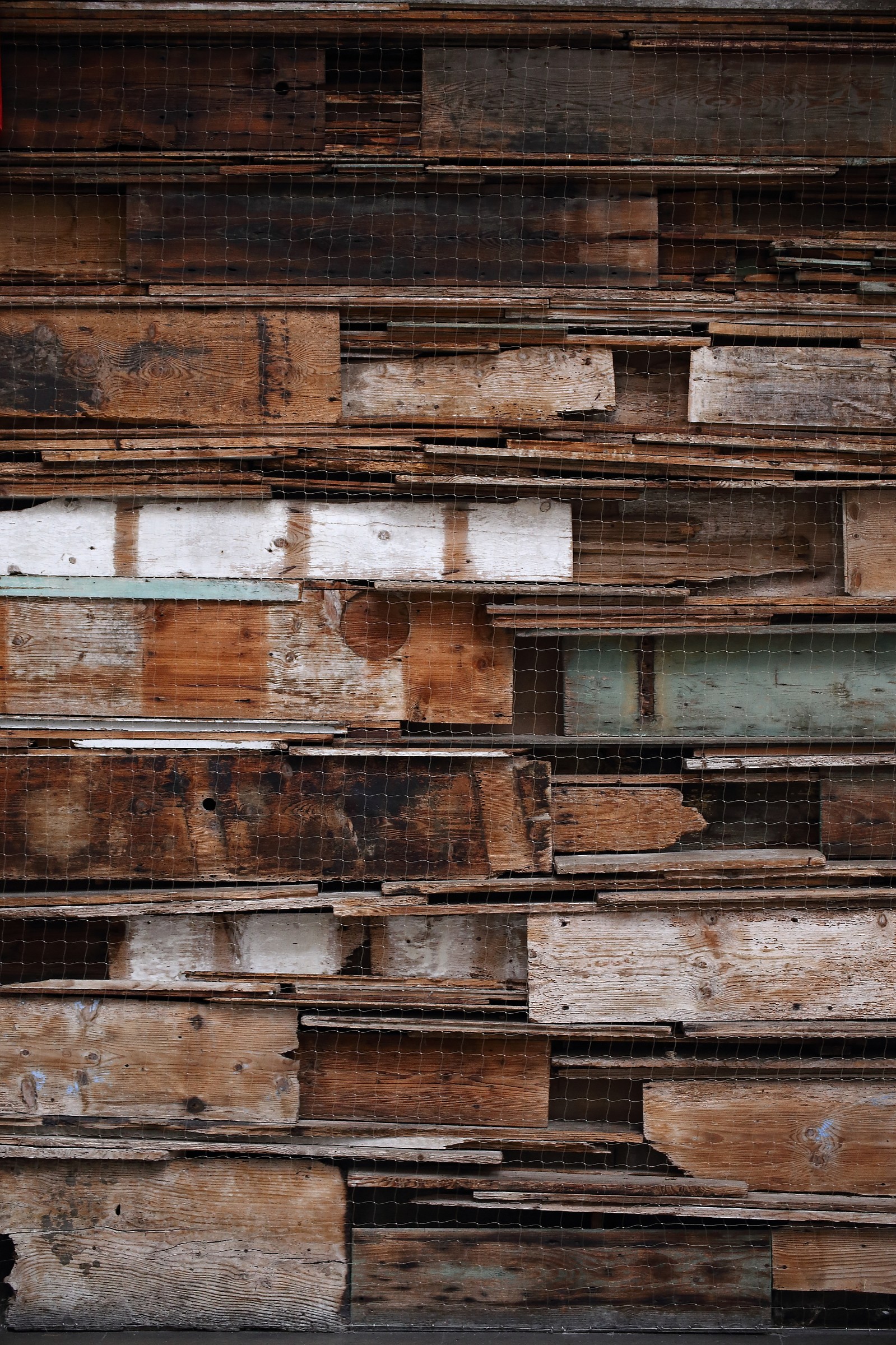 Stratificazione lignea.